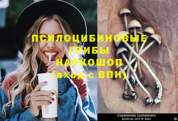 гашик Рославль